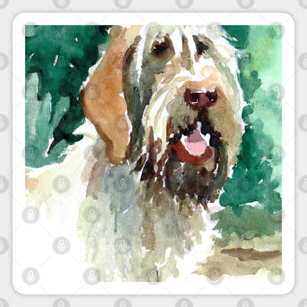 Spinone Italiano Watercolor - Dog Lovers Magnet by Edd Paint Something